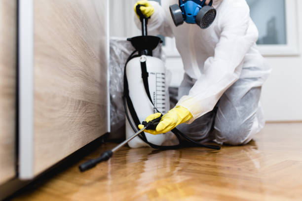 Best Residential Pest Control  in Mcrae Helena, GA