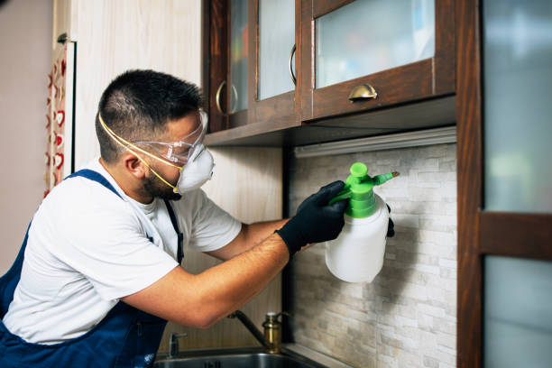 Pest Prevention Services in Mcrae Helena, GA