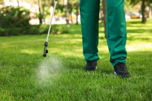 Best Flea Control Services  in Mcrae Helena, GA