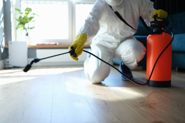 Professional Pest Control in Mcrae Helena, GA