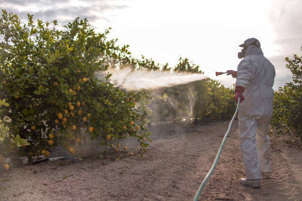 Best Exterminator Services  in Mcrae Helena, GA