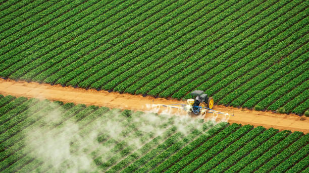 Best Termite Control Services  in Mcrae Helena, GA