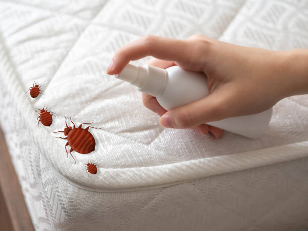 Best Pest Prevention Services  in Mcrae Helena, GA