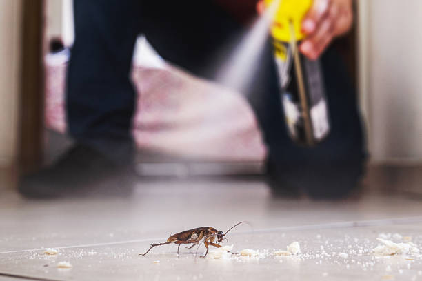 Best Ant Control Services  in Mcrae Helena, GA
