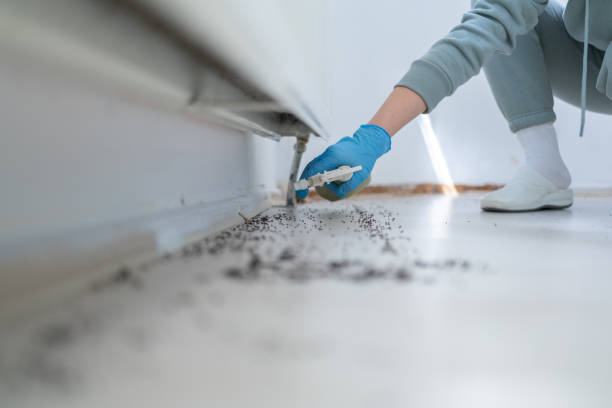 Best Pest Inspection Near Me  in Mcrae Helena, GA